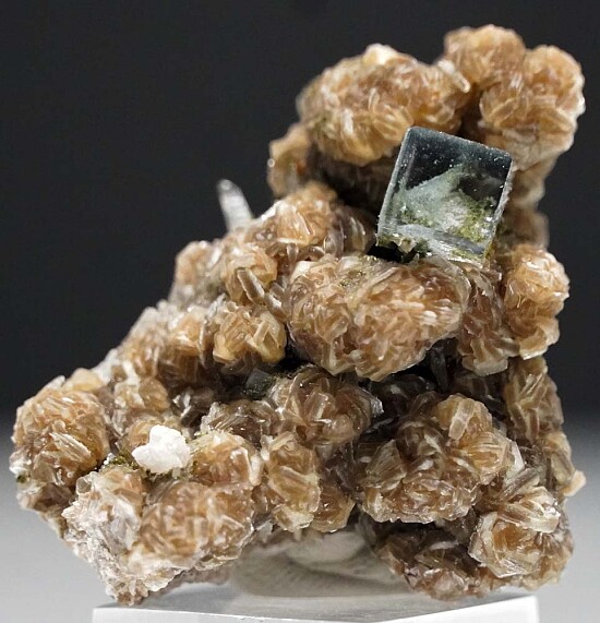 Fluorite on Muscovite