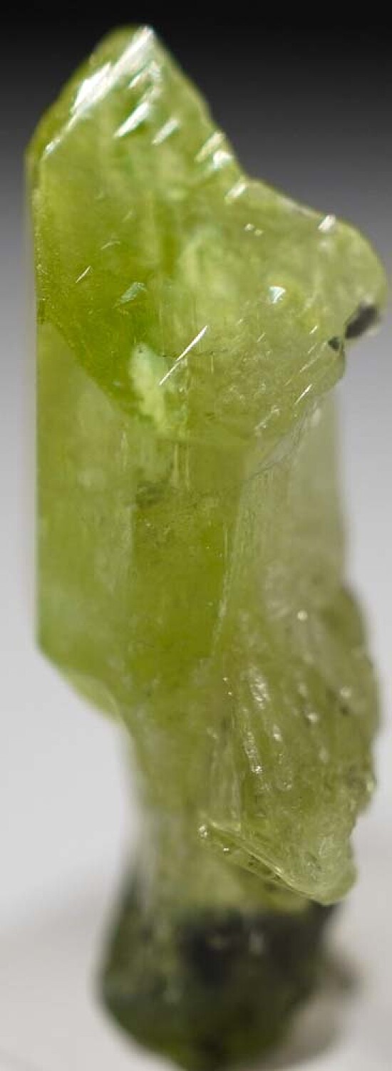 Diopside