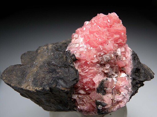 Rhodochrosite