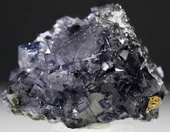 Fluorite on Ferberite