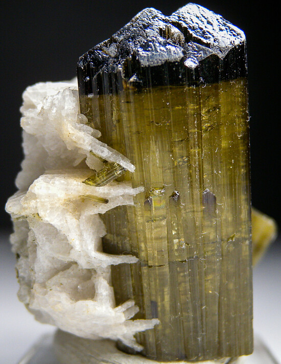 Tourmaline with Albite