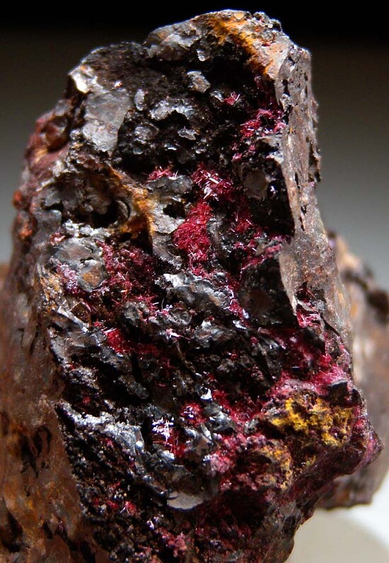 Cuprite var. Chalcotrichite