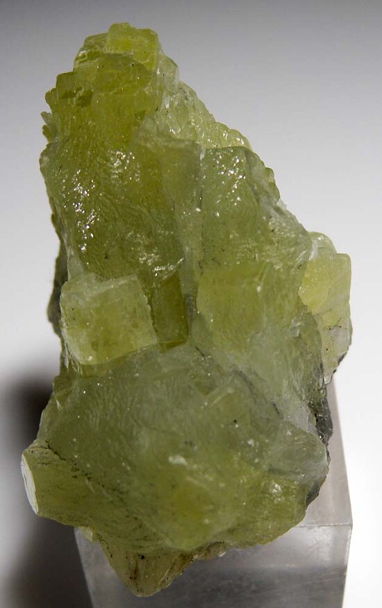 Prehnite