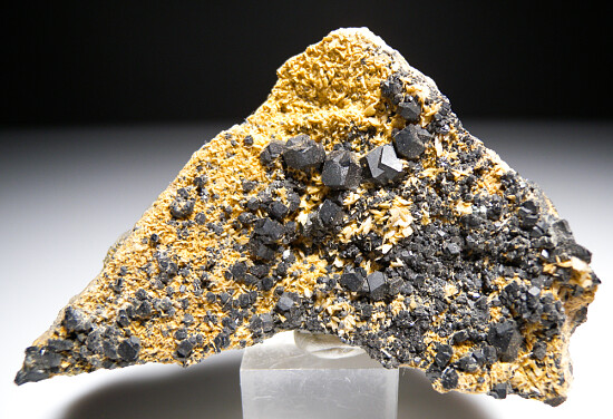 Andradite var.  Melanite