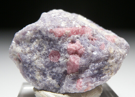 Tourmaline in Lepidolite
