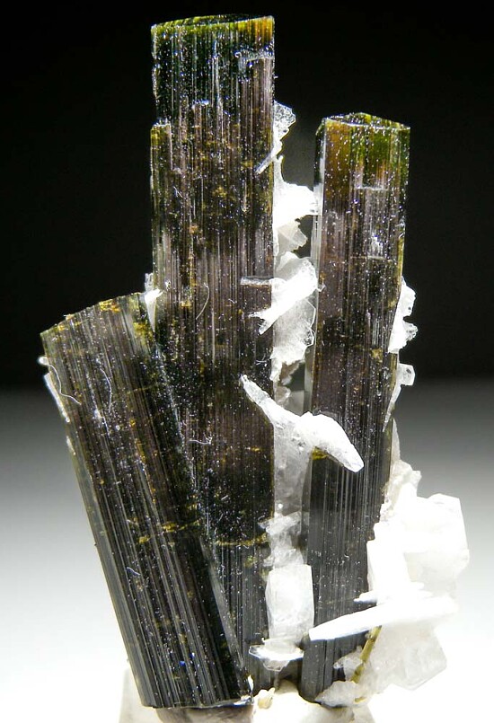 Tourmaline with Albite