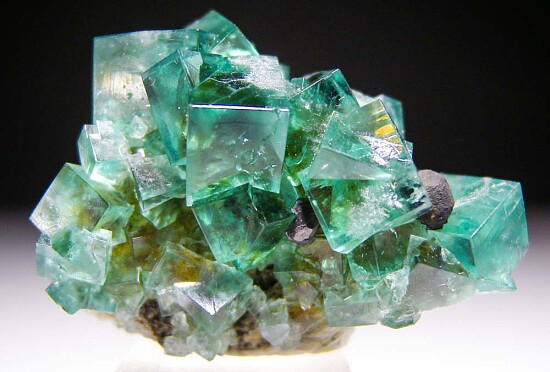 Fluorite with Galena