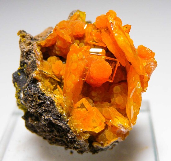 Wulfenite with Mimetite