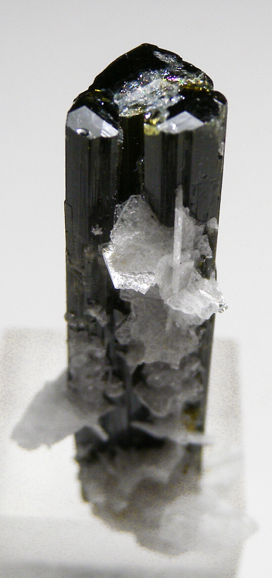 Tourmaline with Albite