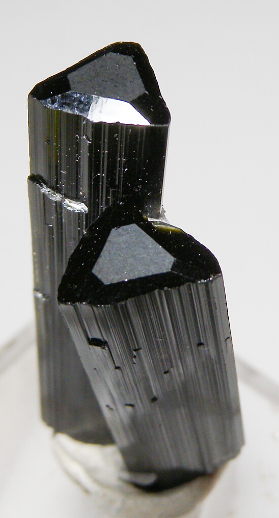 Tourmaline with Albite