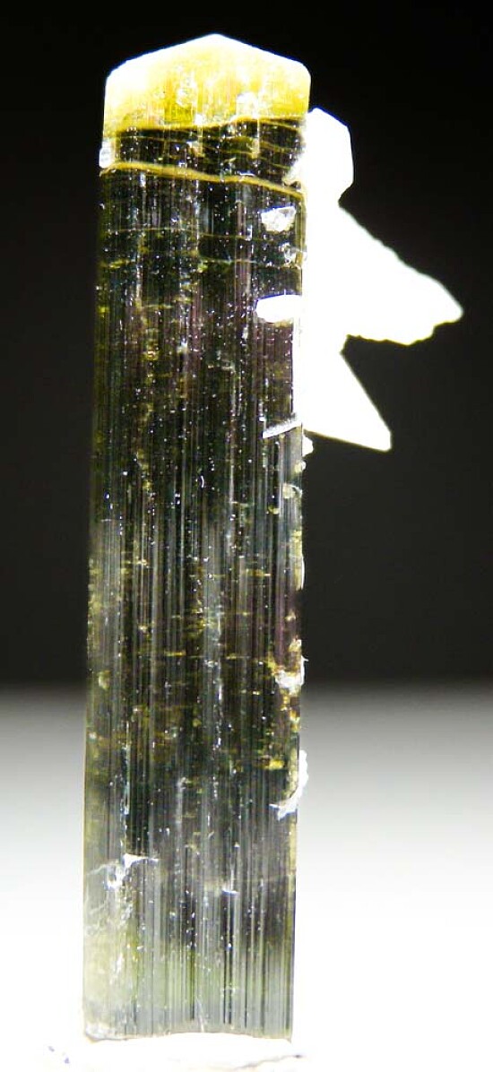 Tourmaline with Albite (double terminated!)