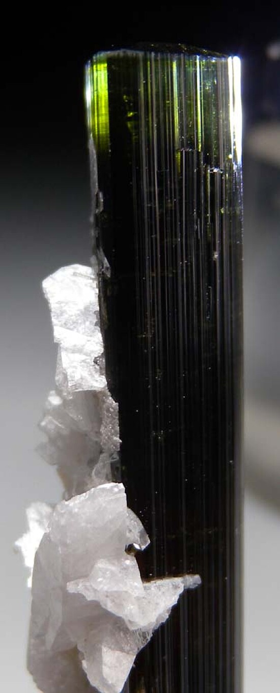 Tourmaline with Feldspar