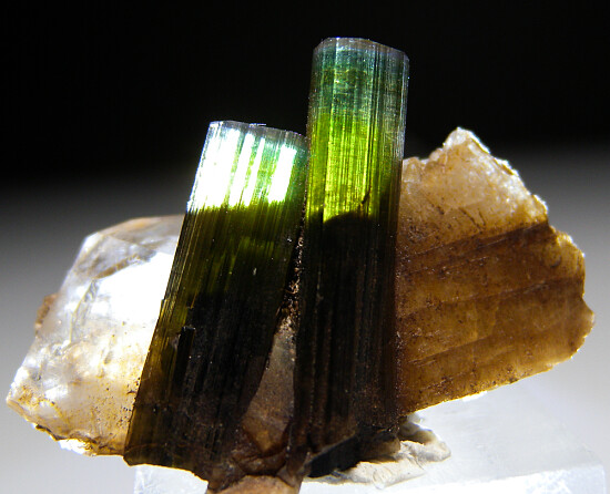 Tourmaline on Quartz