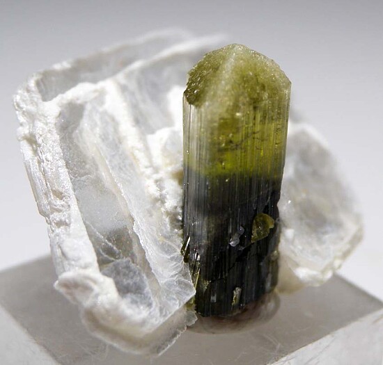 Tourmaline on Muscovite