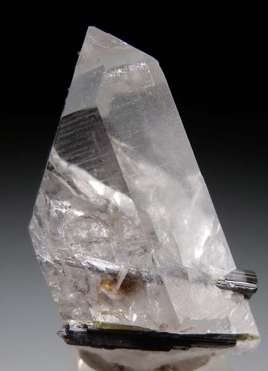 Tourmaline in Quartz