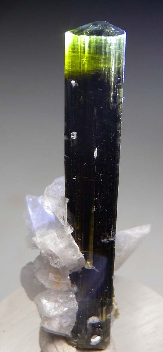 Tourmaline with Albite (double-terminated!)