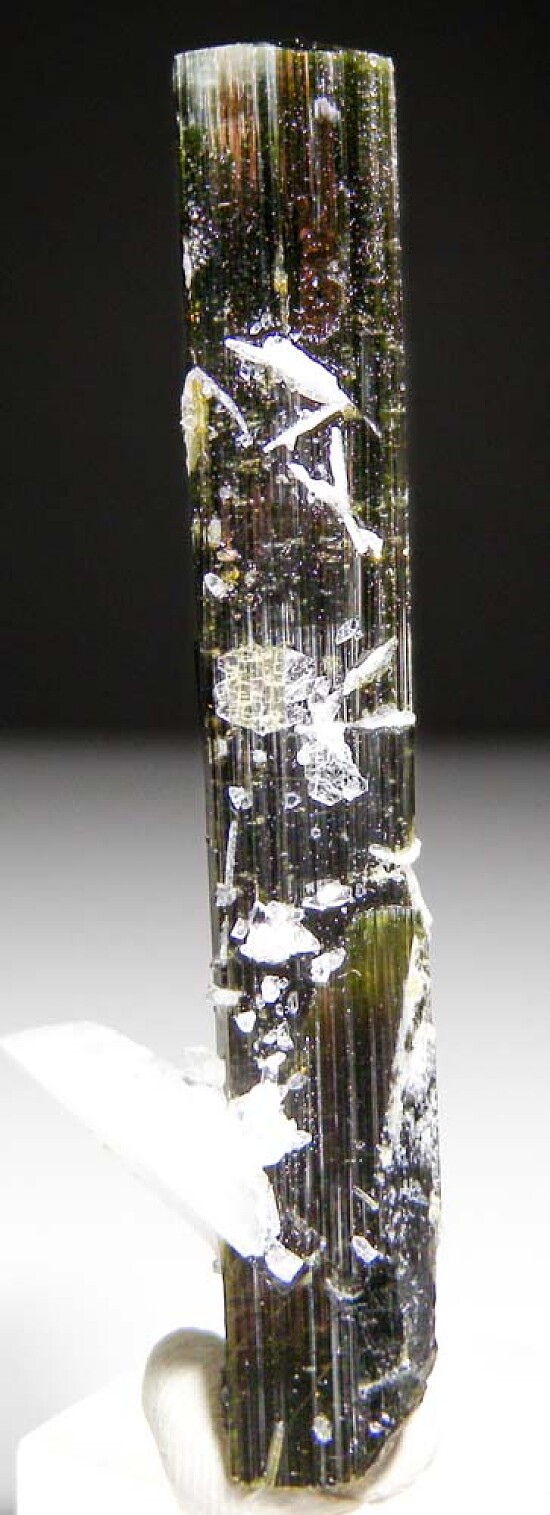 Tourmaline with Albite