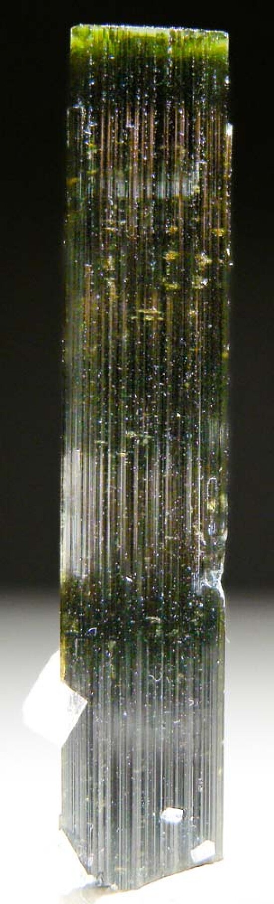Tourmaline with Albite