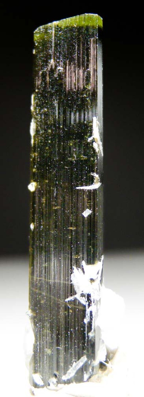 Tourmaline with Albite