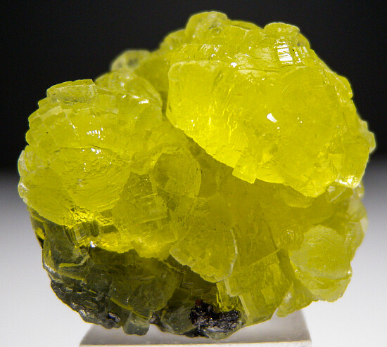 Prehnite
