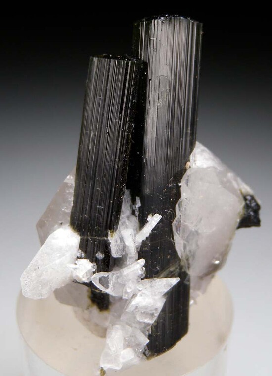 Tourmaline with Quartz