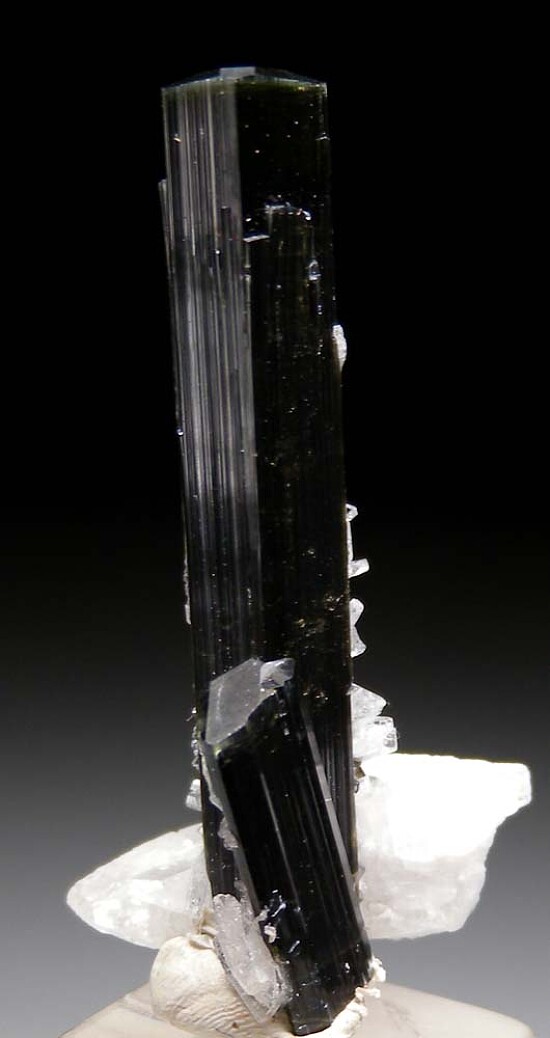 Tourmaline with Albite