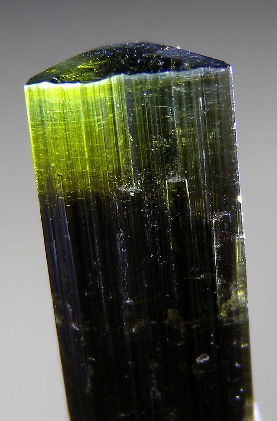 Tourmaline with Albite