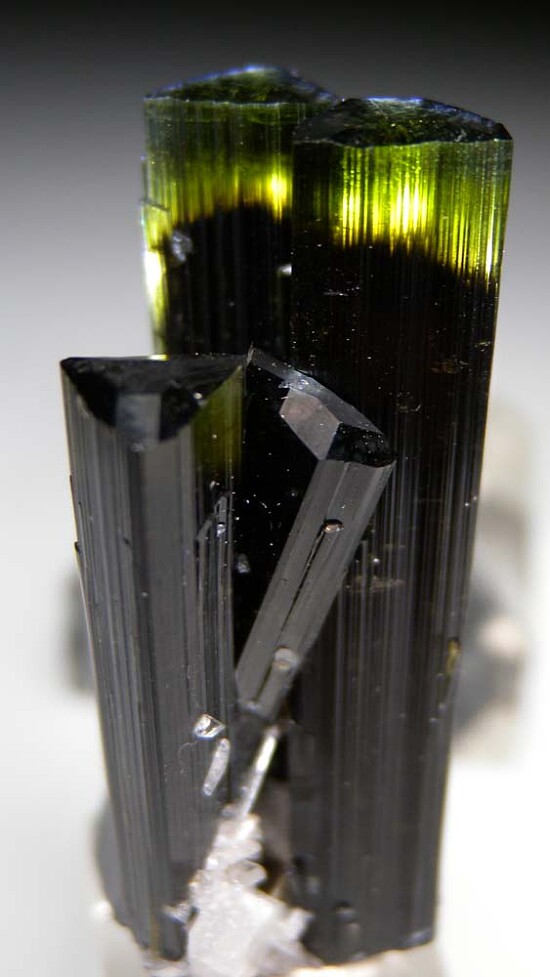 Tourmaline with Albite