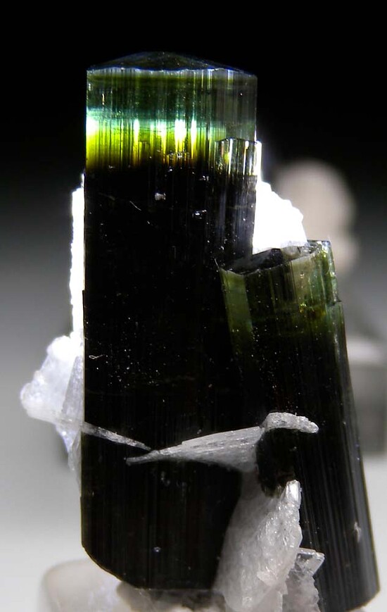Tourmaline with Albite