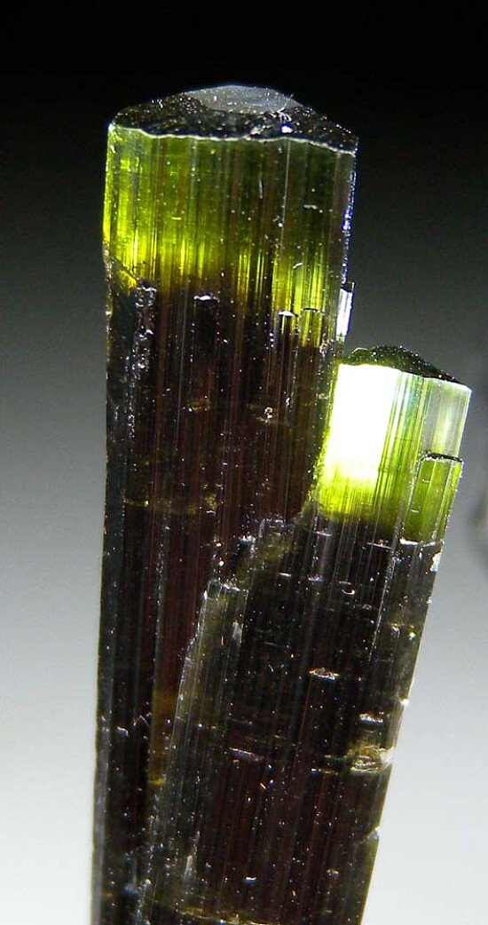 Tourmaline with Albite