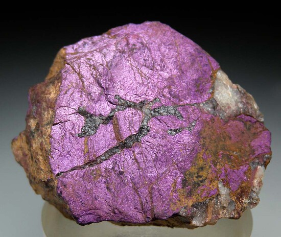 Purpurite