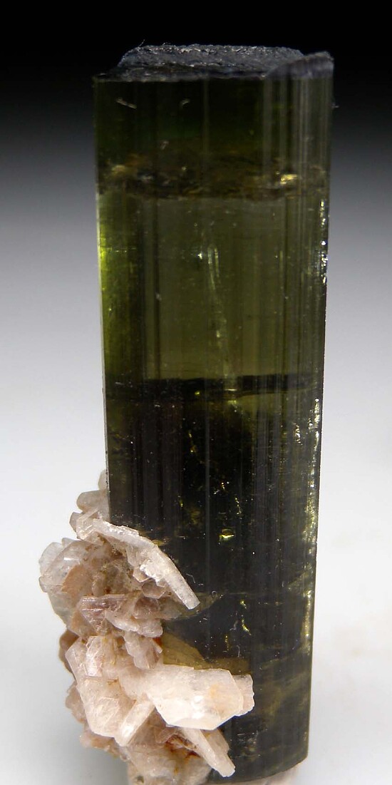 Albite on Tourmaline