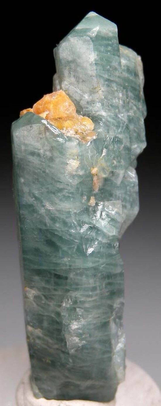 Apatite