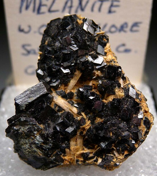 Andradite var. Melanite with Chlinochlore