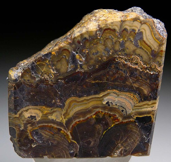 Schalenblende