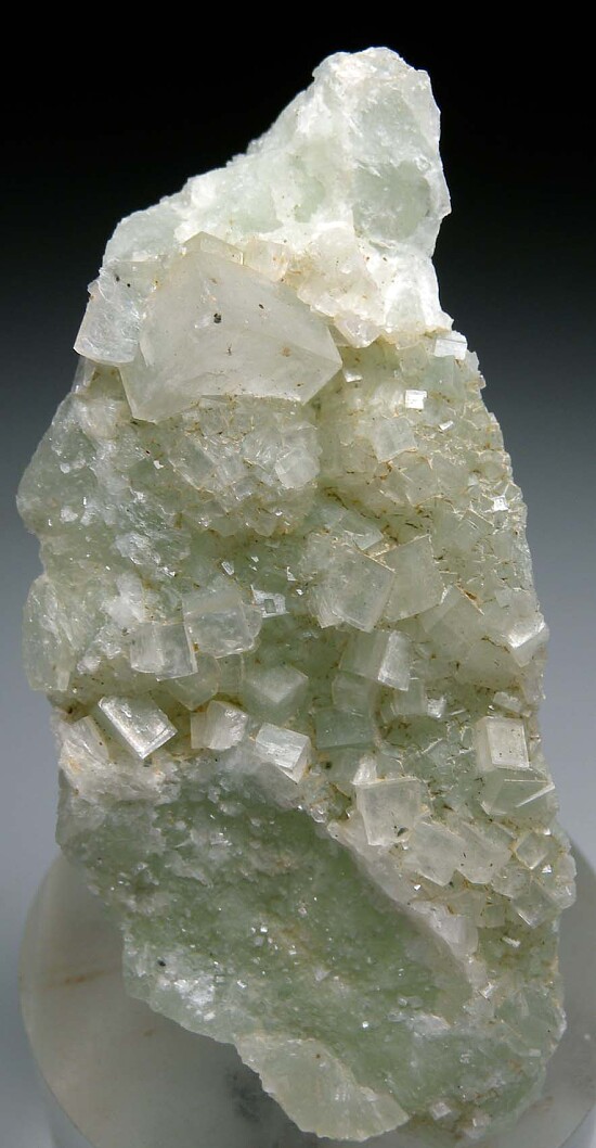 Apophyllite on Prehnite