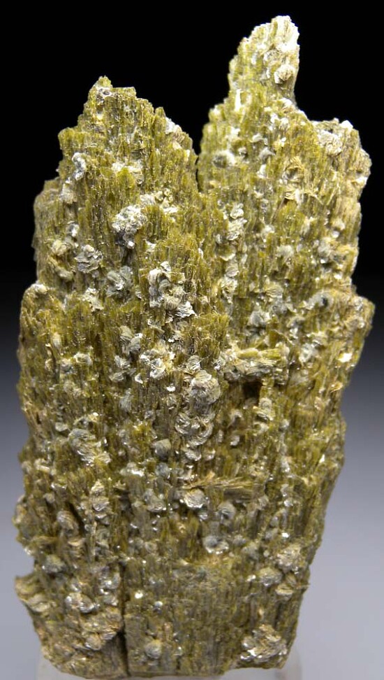 Mica on Epidote