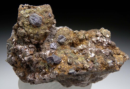 Siegenite, Galena on Marcasite
