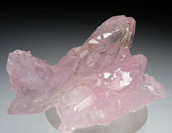 Rose Quartz