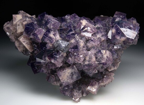 Galena on Fluorite
