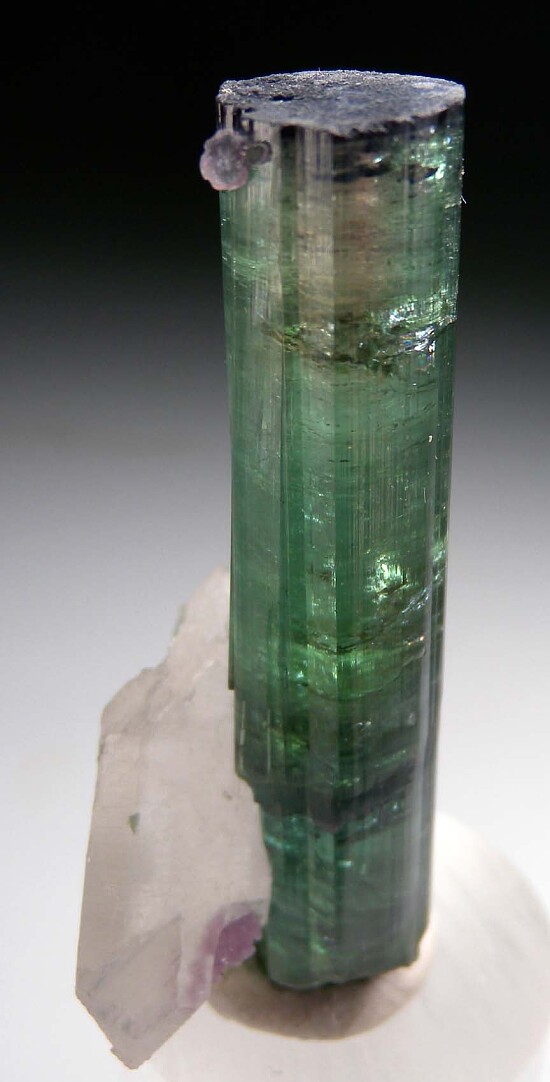 Tourmaline with Quartz (R)